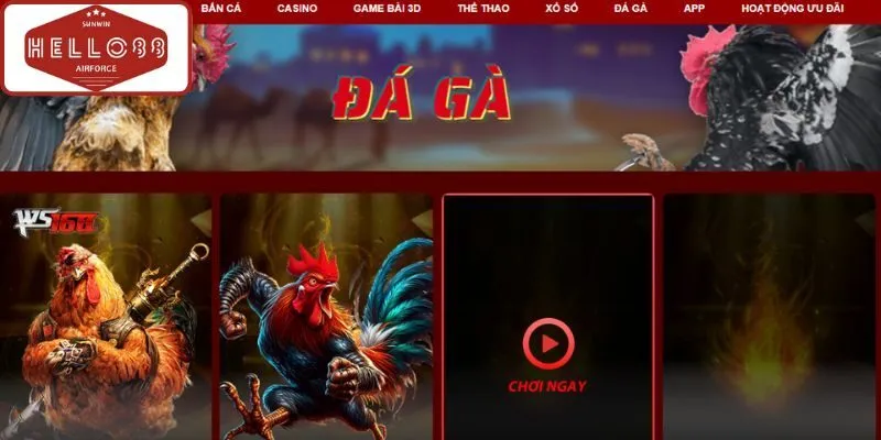 Ưu điểm nổi trội của sảnh đá gà